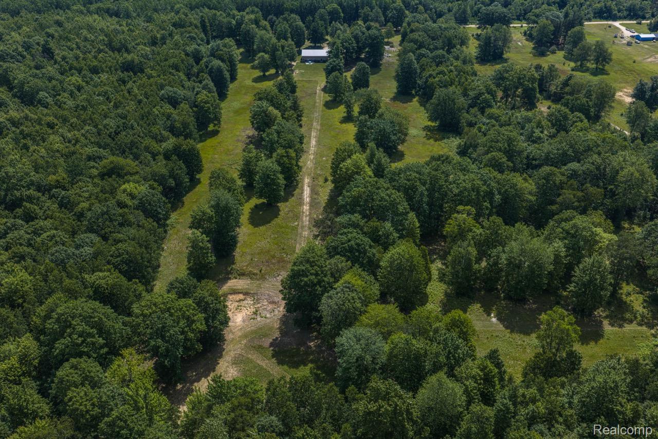2418 South 41st Road South Cadillac, MI 49601 - Photo 29 of 57 Expansive wooded property featuring a cleared central path and a single structure in the distance