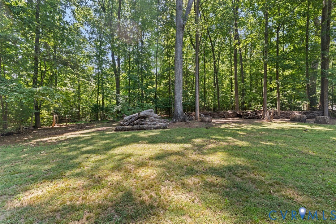 2448 Mountain View Road Powhatan, VA 23139 - Photo 24 of 29 Wooded and private lot