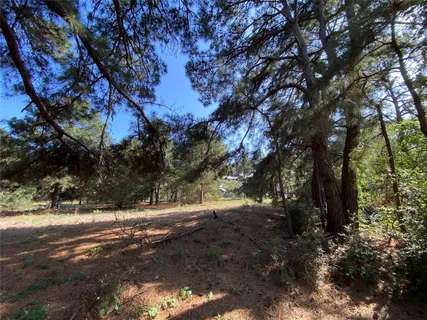 a view of dirt yard with a large tree