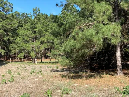 a view of a yard with trees