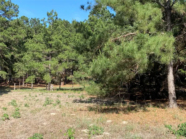 a view of a yard with trees