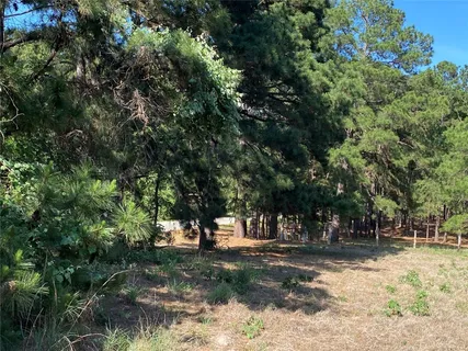 a view of outdoor space with trees