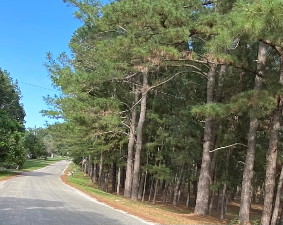 147 Oak Leaf Drive Bastrop, TX 78602 - Photo 7 of 8 a view of a street with a building in the background