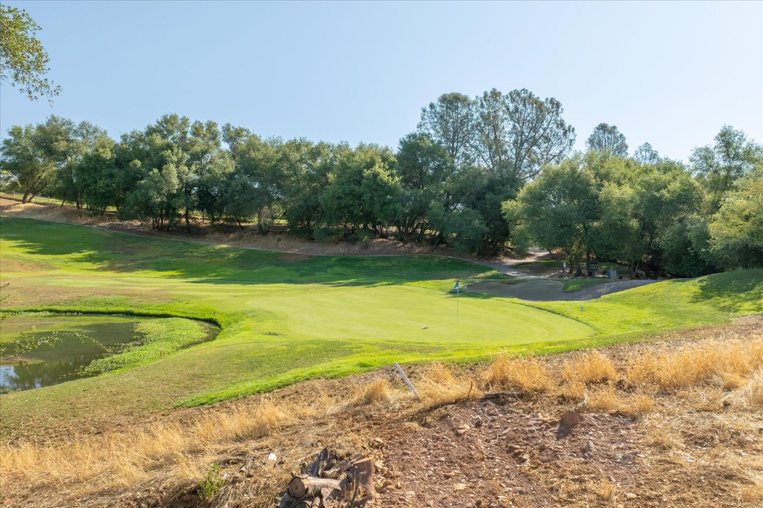 289 Blair Mine Road Angels Camp, CA 95222 - Photo 2 of 10 a view of a swimming pool with a yard