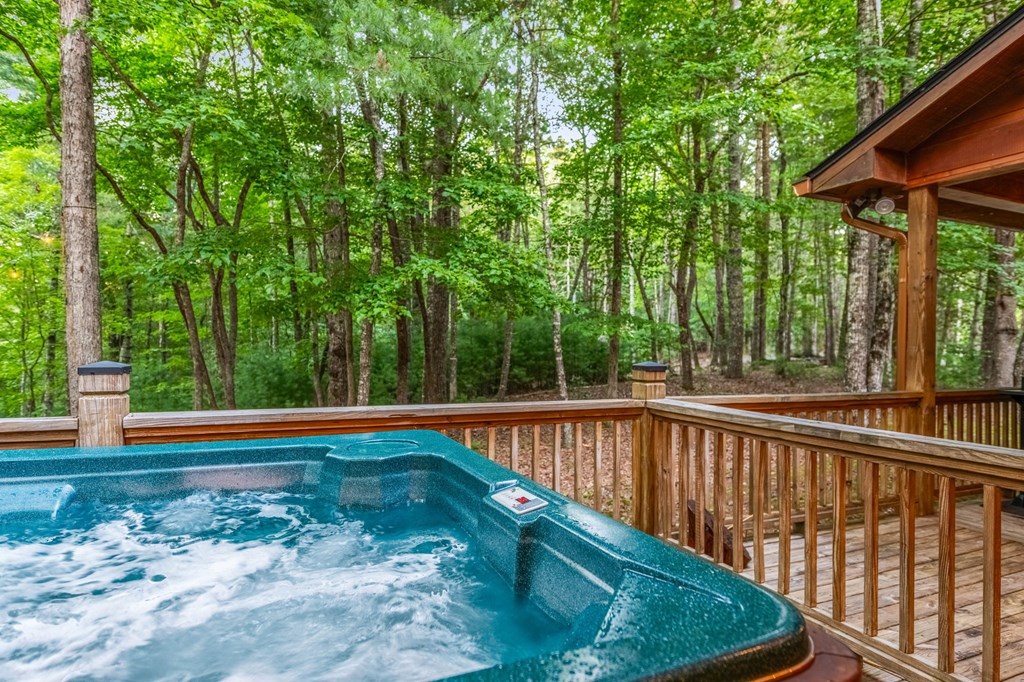300 Ridgecrest Drive Blue Ridge, GA 30513 - Photo 24 of 31 a view of a swimming pool with a patio