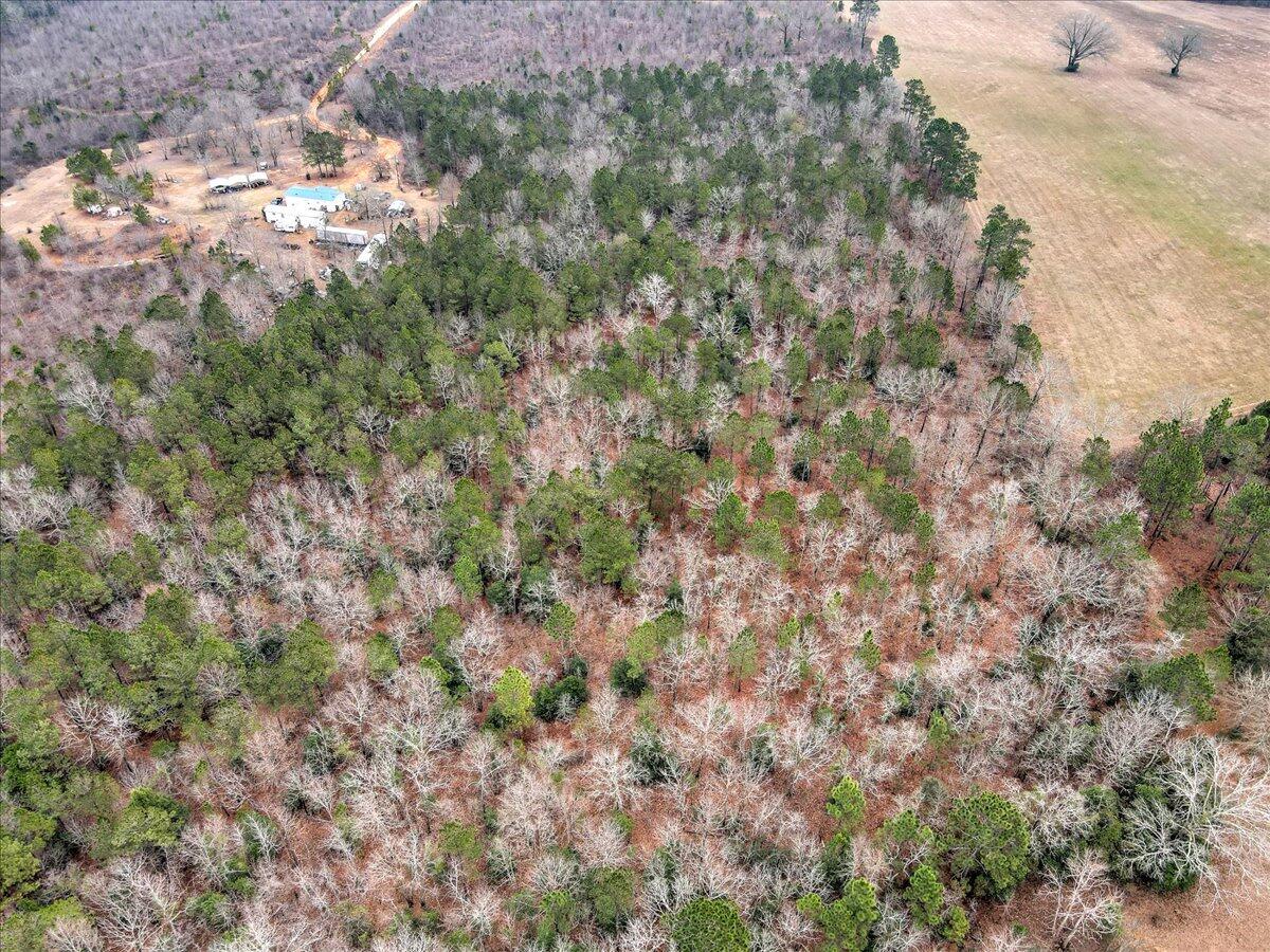 Tr-5 West Wilderness Road Williston, SC 29853 - Photo 7 of 14
