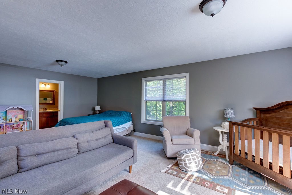 12167 Girdled Road Painesville, OH 44077 - Photo 29 of 35 Gallery Image 29