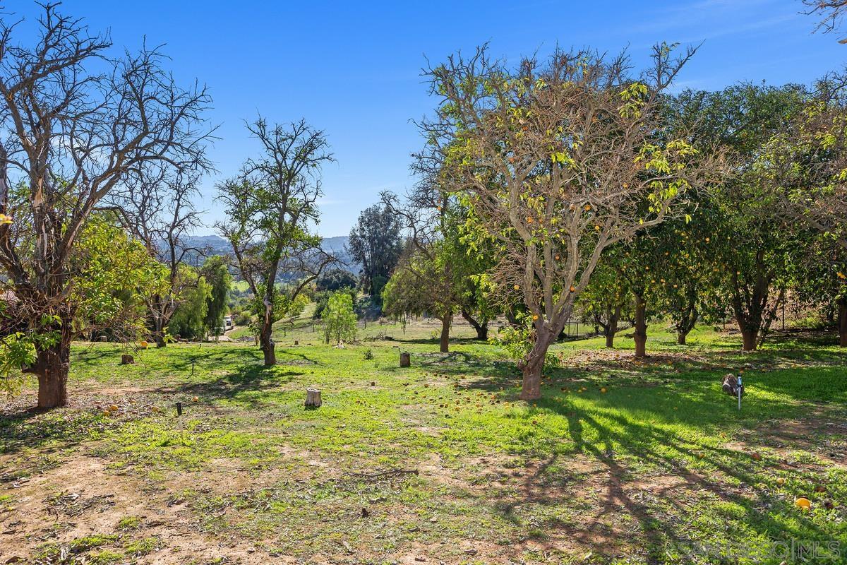 13747 Little Pond Road Valley Center, CA 92082 - Photo 31 of 39 a big yard with lots of green space and trees