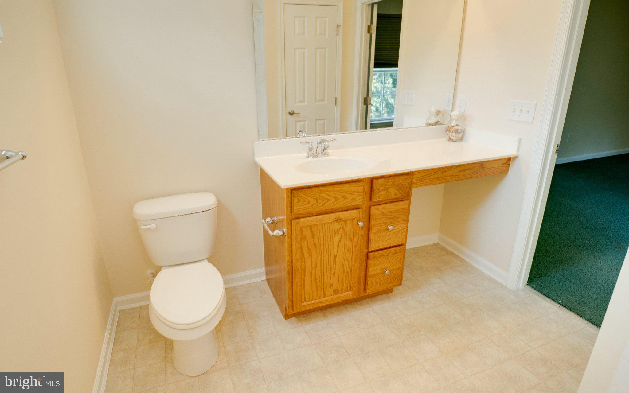192 Bobbys Branch Road Millsboro, DE 19966 - Photo 31 of 49 Primary private full bath