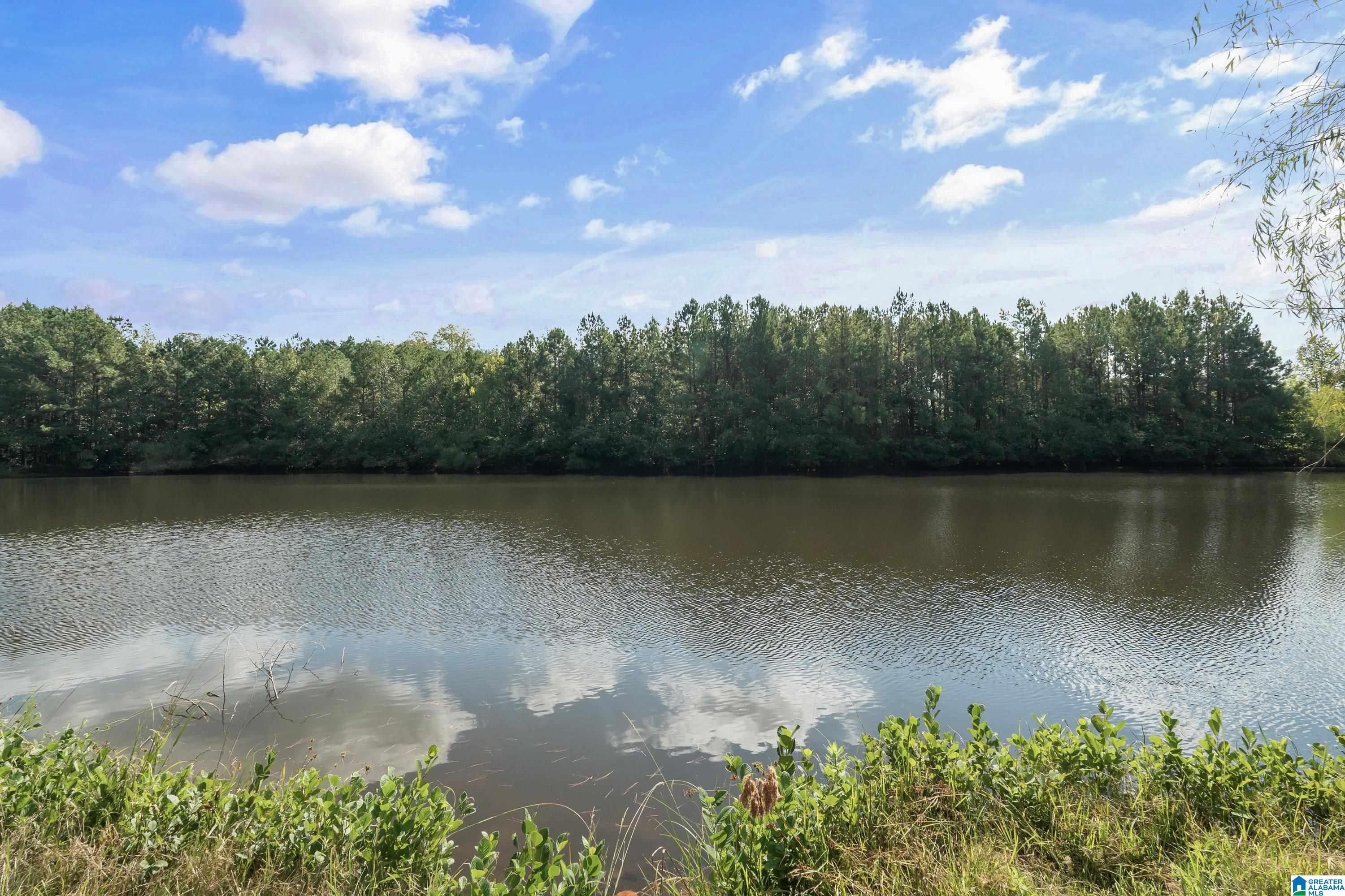 636 Foothills Trace Chelsea, AL 35043 - Photo 41 of 49