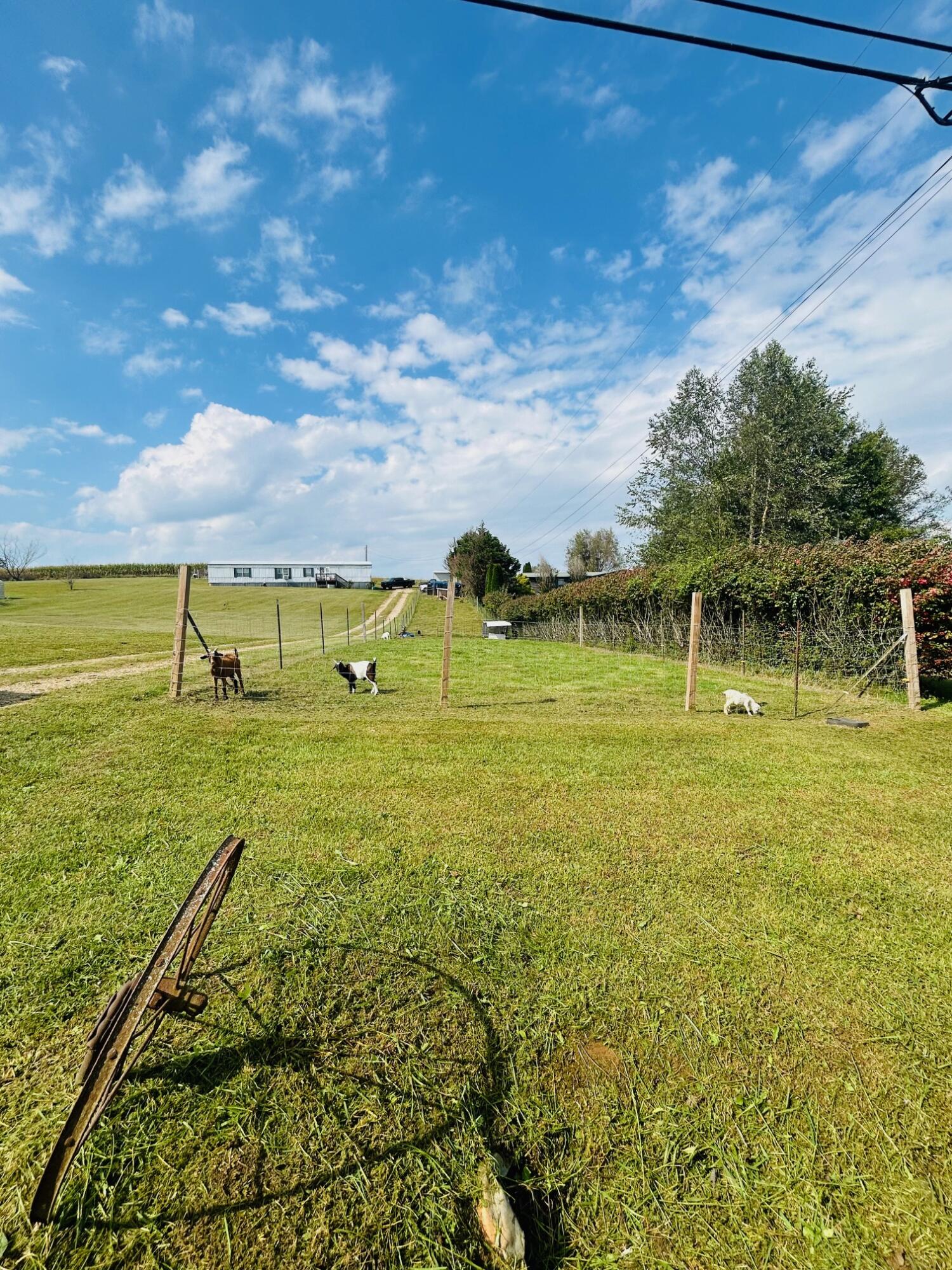 303 Beech Grove Road Science Hill, KY 42553 - Photo 2 of 33 IMG_9335