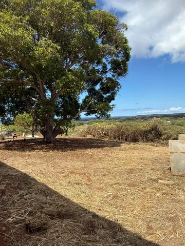 a view of an ocean beach