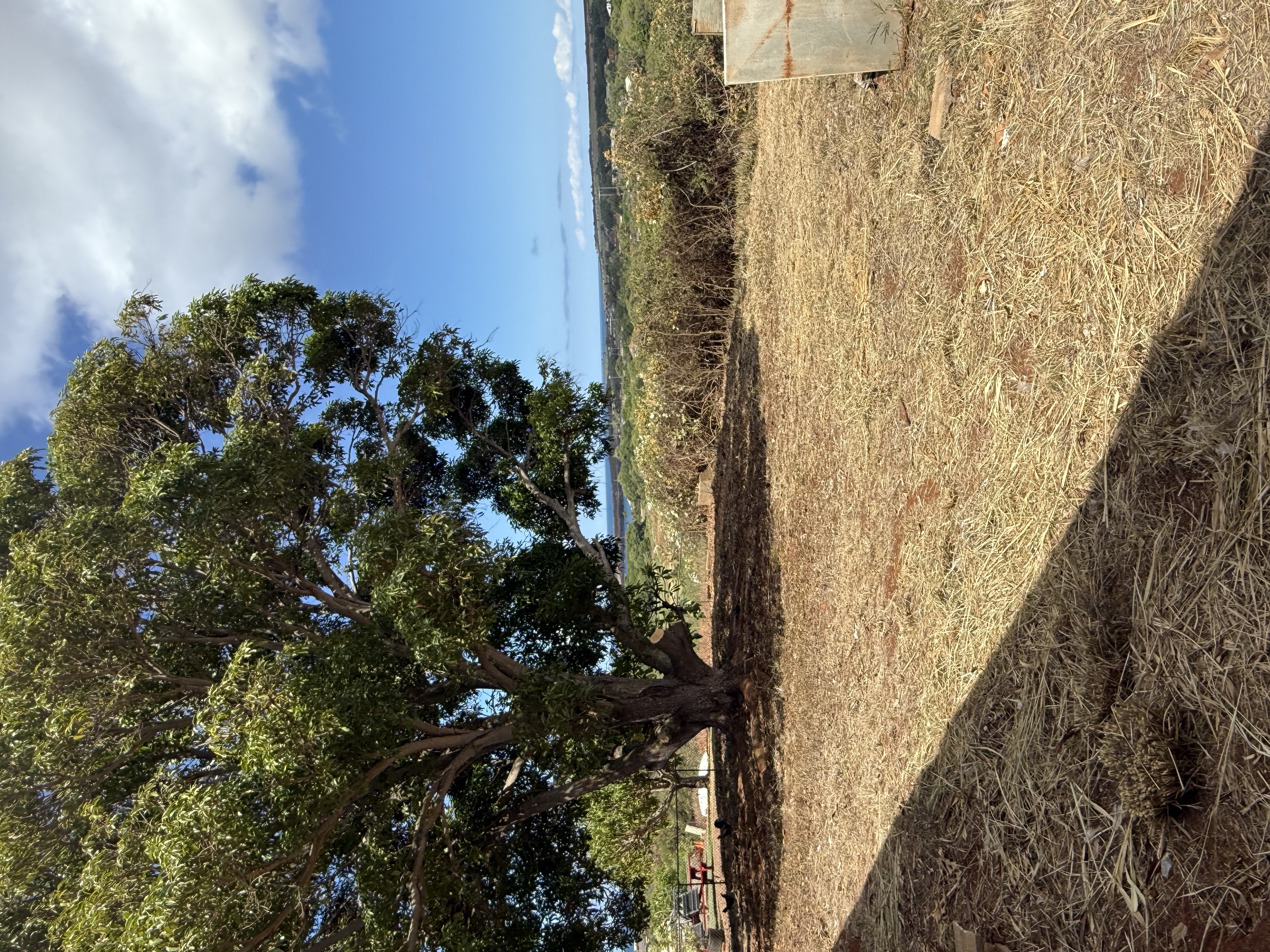 4661 Melemele Road Eleele, HI 96705 - Photo 11 of 15 a view of an ocean beach