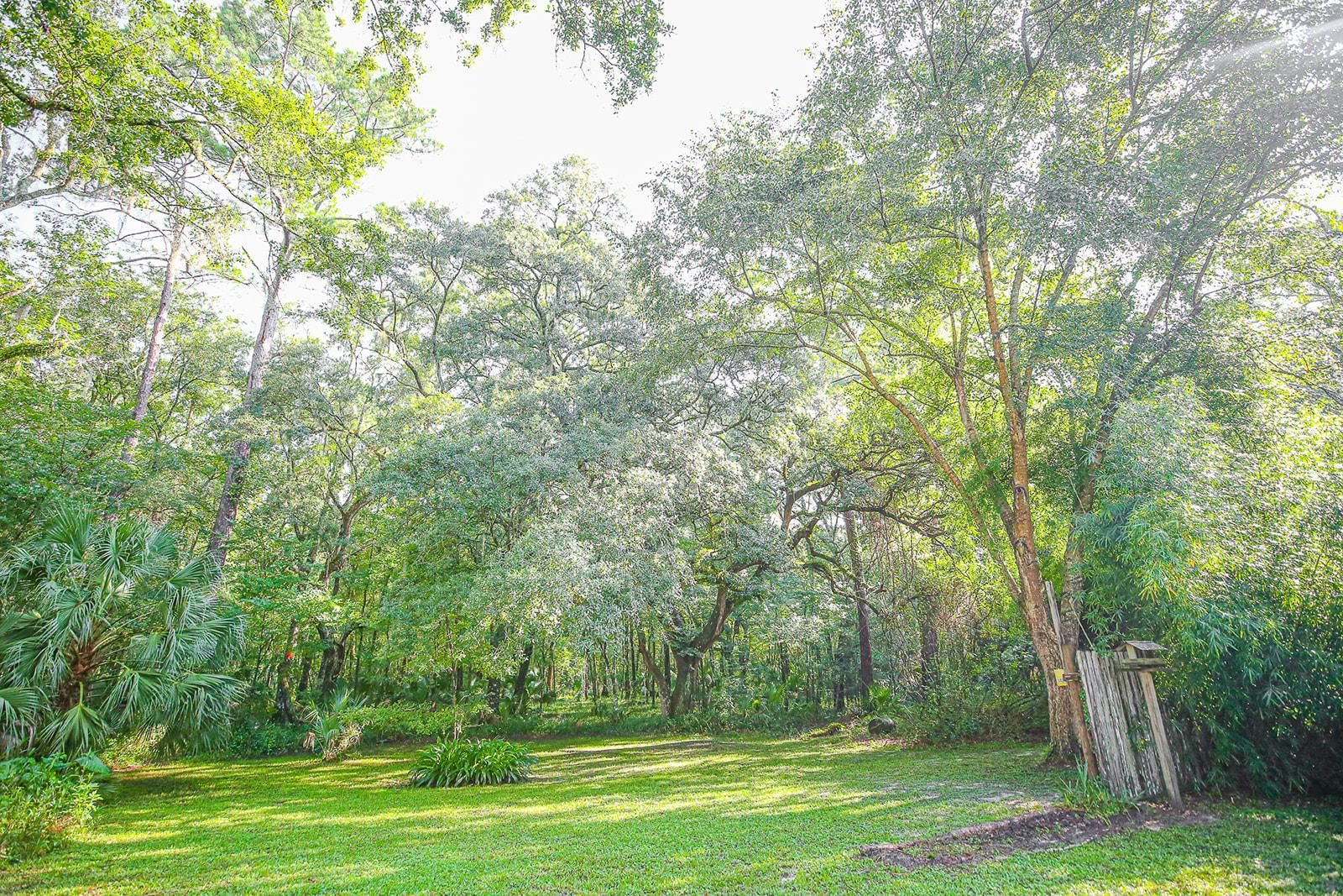 1992 Wt Grubbs Road Perry, FL 32347 - Photo 9 of 42