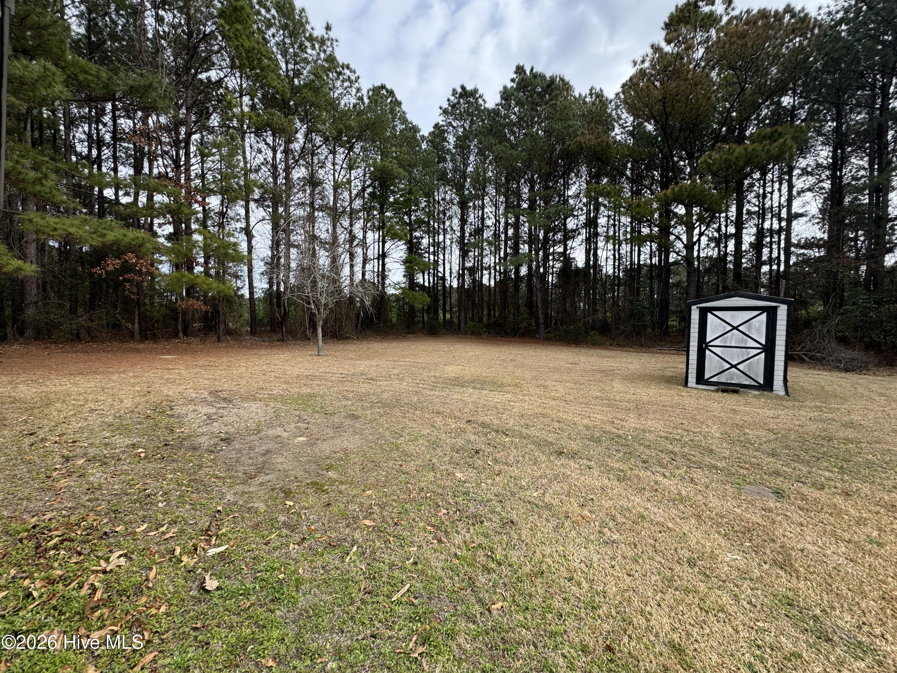 157 Conover Street Jacksonville, NC 28540 - Photo 15 of 15 Back yard-shed