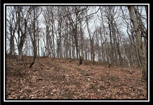 0 Black Run Road, Unit TRACT 8) Chillicothe, OH 45601 - Photo 11 of 47 image011