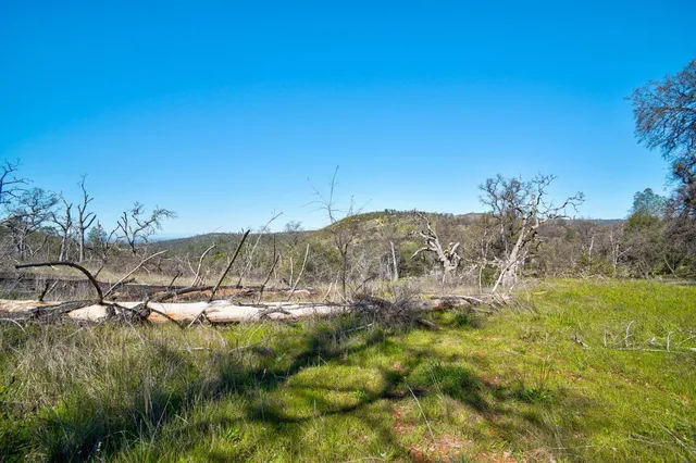a view of a dry yard