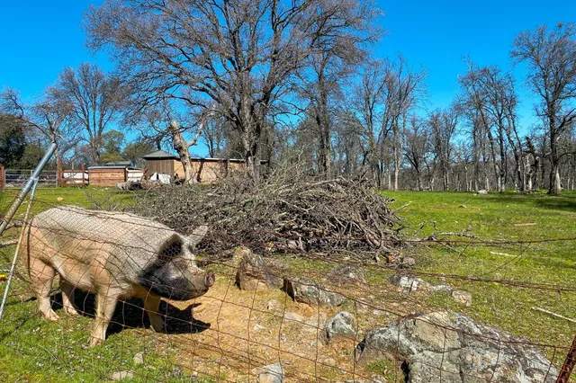 a view of a park with swings and slides