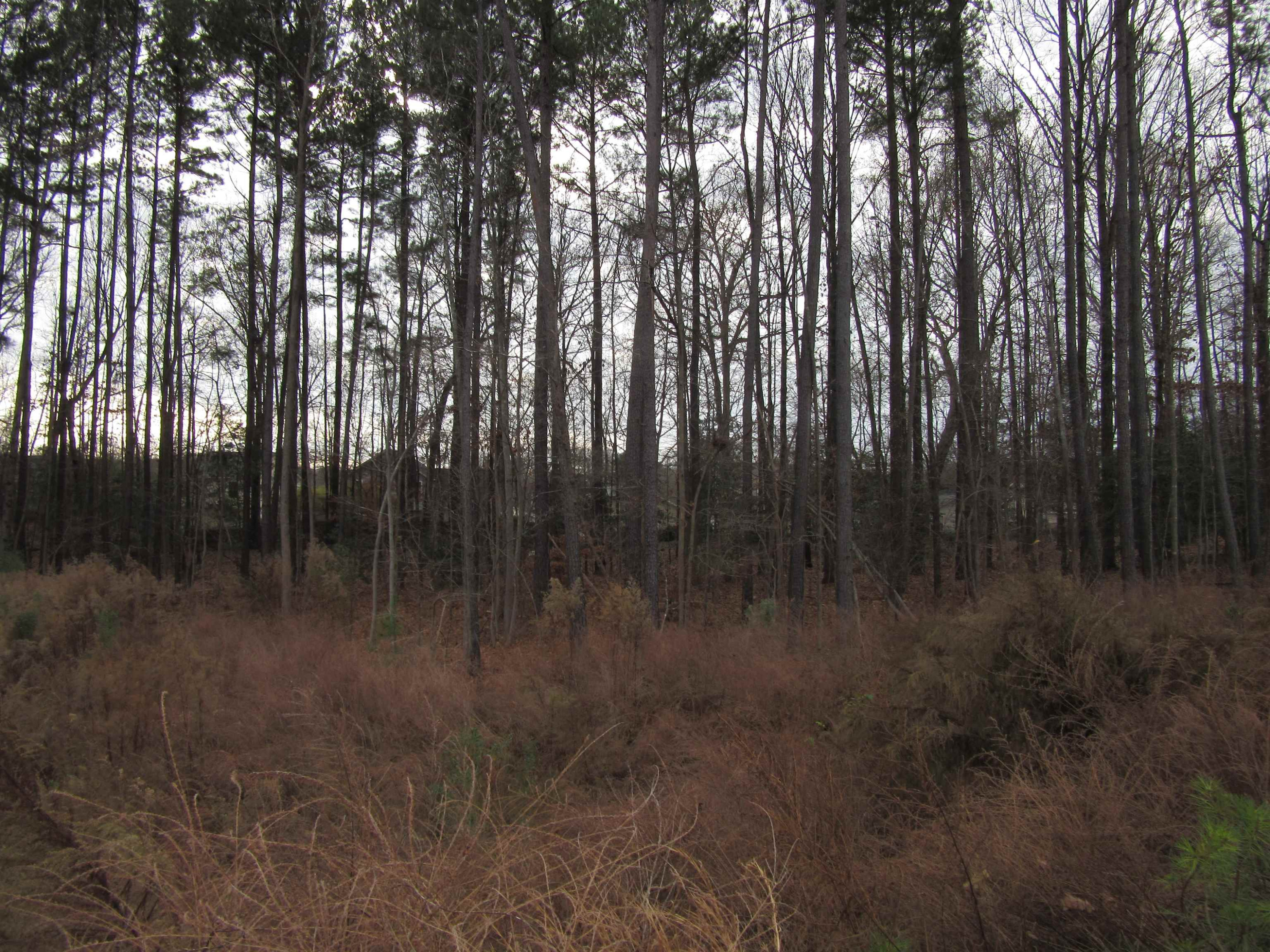 3824 Mitchell Mill Road Raleigh, NC 27616 - Photo 3 of 11 Photo 3