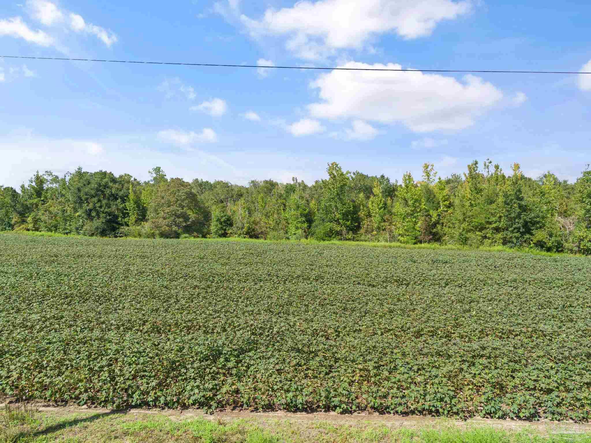 12 Sid Hayes Road Jay, FL 32565 - Photo 2 of 4 Gallery Image 2