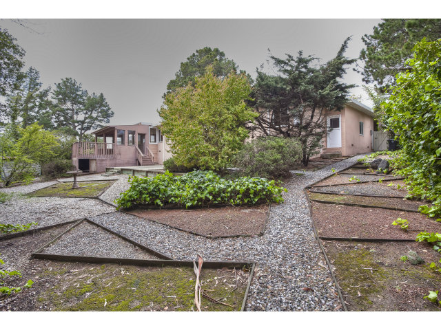 1859 Randall Road San Mateo, CA 94402 - Photo 16 of 22 a view of a backyard with plants and a garden