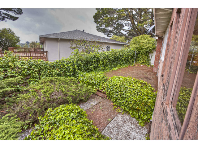 1859 Randall Road San Mateo, CA 94402 - Photo 20 of 22 a view of a yard with plants