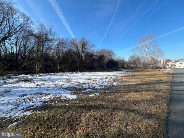 a view of road with large trees