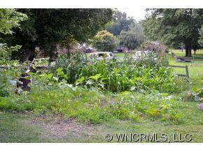 4267 Old Clyde Road Clyde, NC 28721 - Photo 6 of 11 a view of a garden with a tree