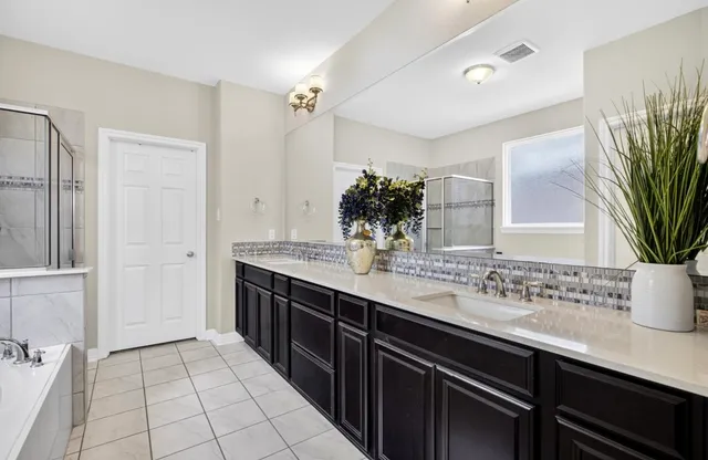 a bathroom with a sink a mirror and a potted plant