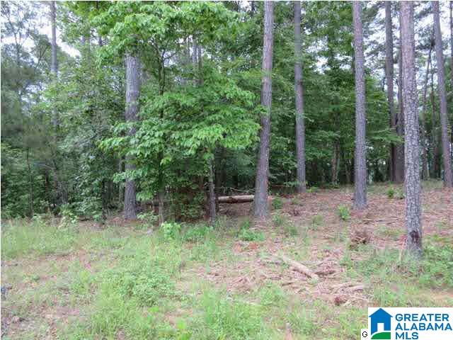 0 Timber Trail, Unit LOT 29 Sylacauga, AL 35151 - Photo 18 of 25