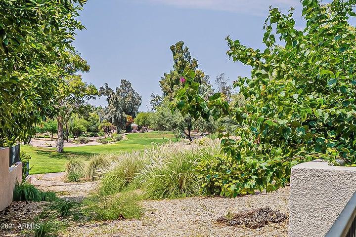 7700 East Gainey Ranch Road, Unit 153 Scottsdale, AZ 85258 - Photo 23 of 24 a view of a garden with a tree
