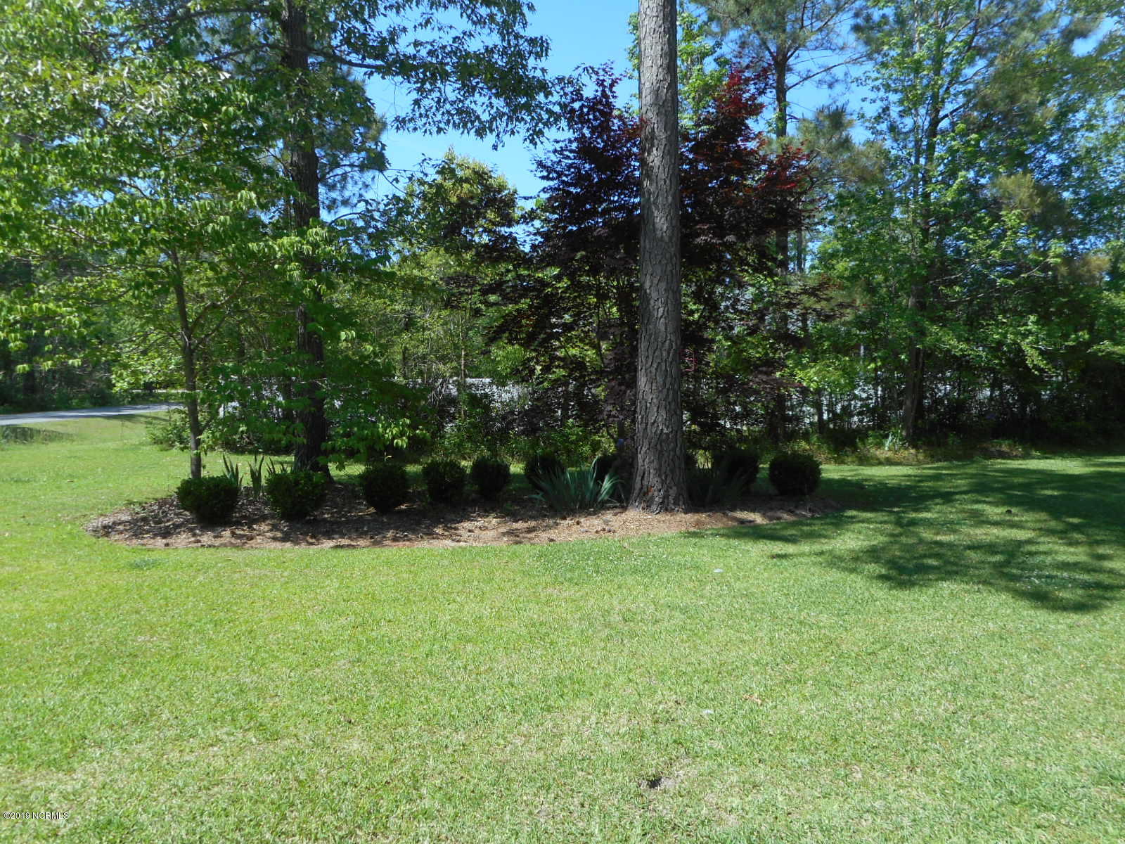 105 Culpeper Road New Bern, NC 28562 - Photo 46 of 53 Front Yard From Driveway