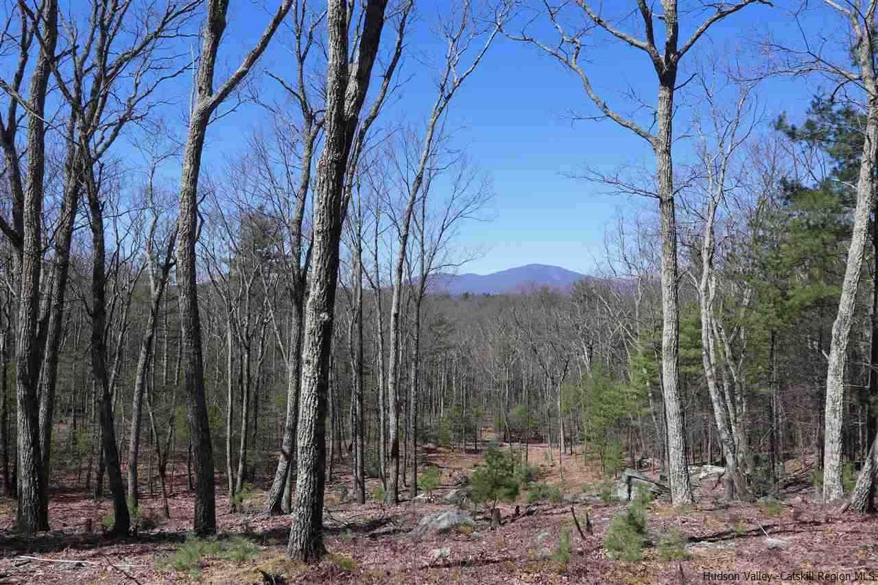 731 Lapla Road Marbletown, NY 12401 - Photo 1 of 10 Photo 1