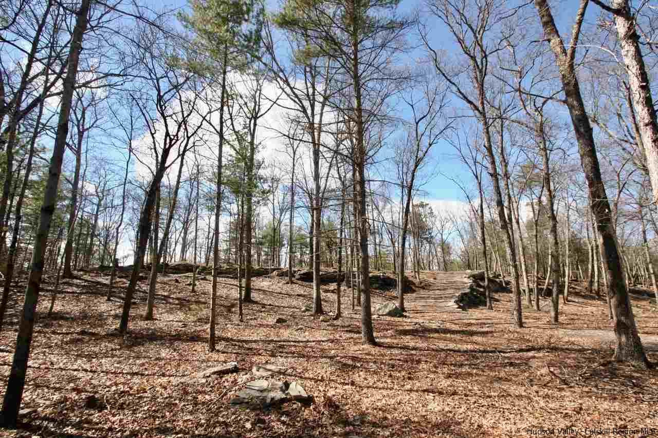 731 Lapla Road Marbletown, NY 12401 - Photo 2 of 10 Photo 2