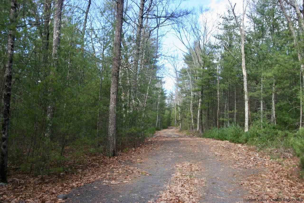 731 Lapla Road Marbletown, NY 12401 - Photo 4 of 10 Photo 4