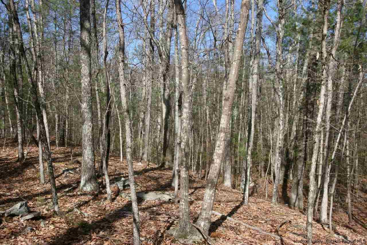 731 Lapla Road Marbletown, NY 12401 - Photo 5 of 10 Photo 5