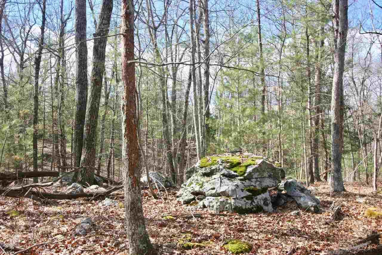 731 Lapla Road Marbletown, NY 12401 - Photo 6 of 10 Photo 6