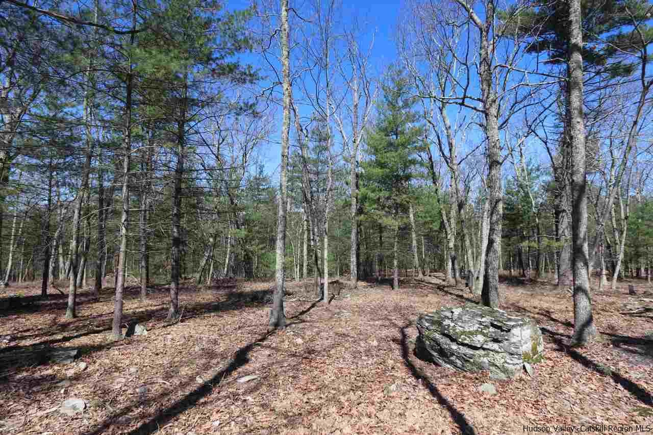 731 Lapla Road Marbletown, NY 12401 - Photo 7 of 10 Photo 7