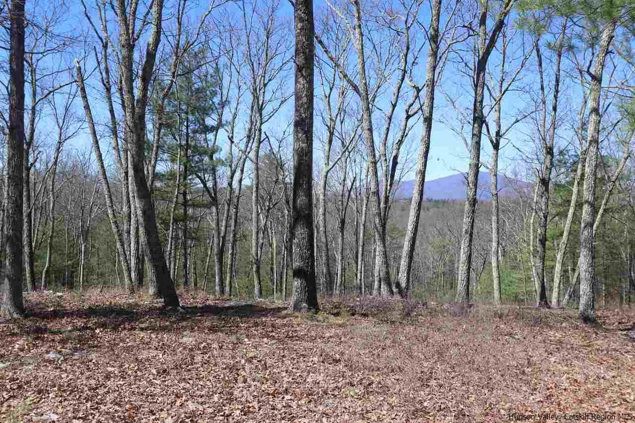 731 Lapla Road Marbletown, NY 12401 - Photo 8 of 10 Photo 8