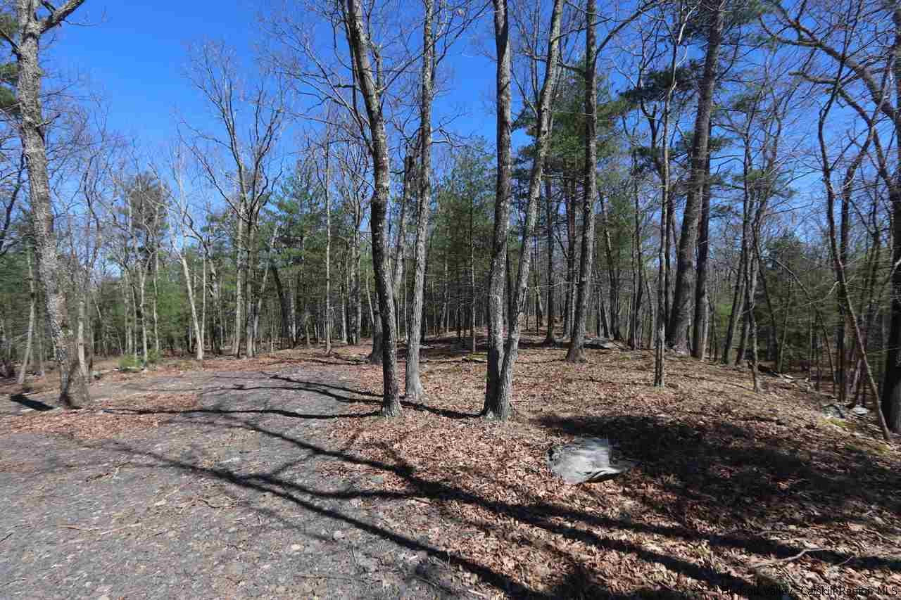 731 Lapla Road Marbletown, NY 12401 - Photo 9 of 10 Photo 9