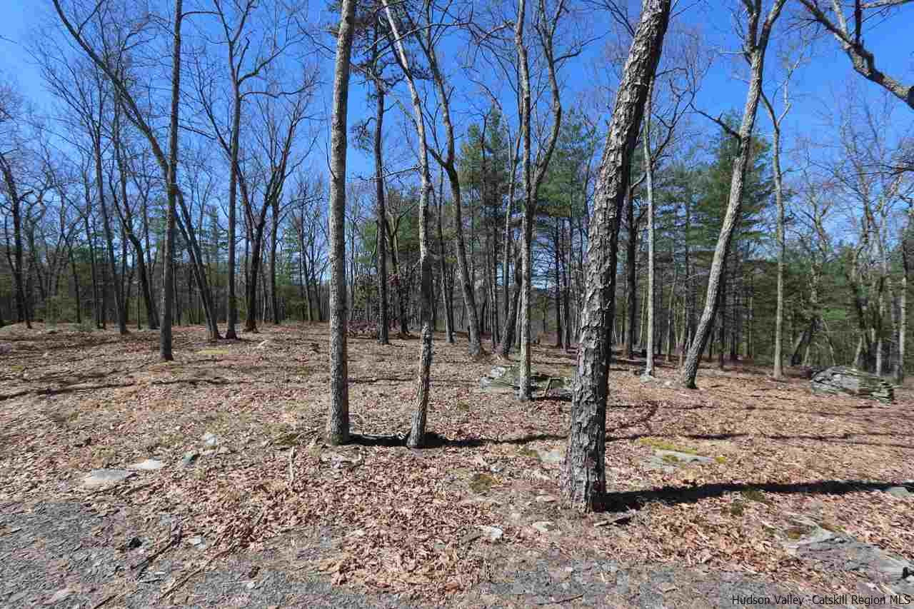 731 Lapla Road Marbletown, NY 12401 - Photo 10 of 10 Photo 10