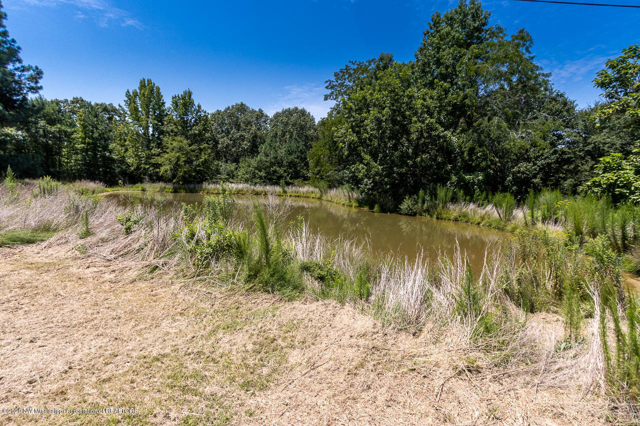 205 Parker Road Byhalia, MS 38611 - Photo 2 of 45 ParkerRd-93-HDR