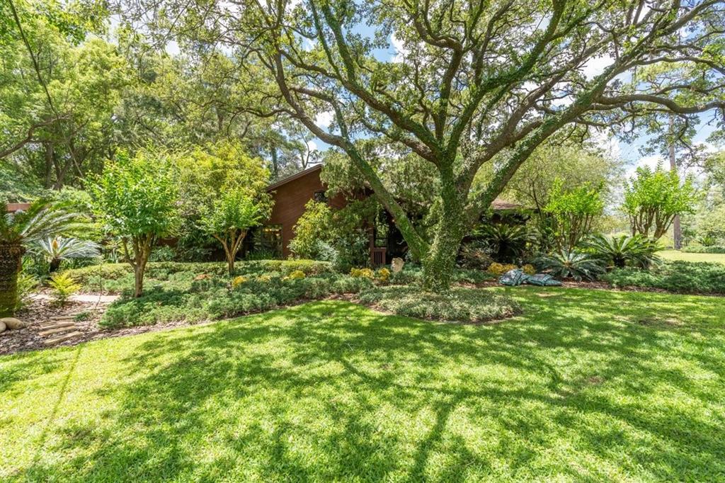 19312 Crescent Road Odessa, FL 33556 - Photo 1 of 1 Gallery Image 1