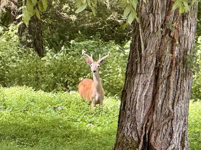 $384,900 | 2559 Fayetteville Highway, Belfast, TN 37019