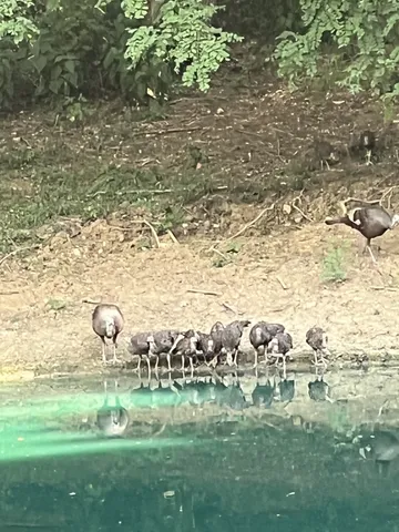 $384,900 | 2559 Fayetteville Highway, Belfast, TN 37019