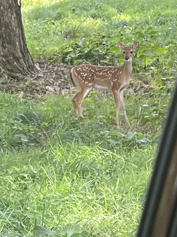 $384,900 | 2559 Fayetteville Highway, Belfast, TN 37019