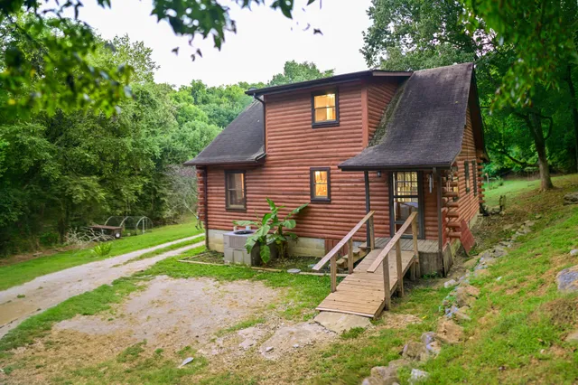 a view of a forest with trees