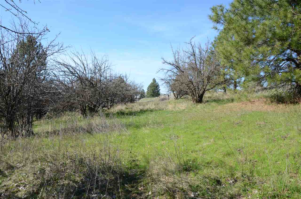 4400 South Henry Road Greenacres, WA 99016 - Photo 11 of 16 Gallery Image 11