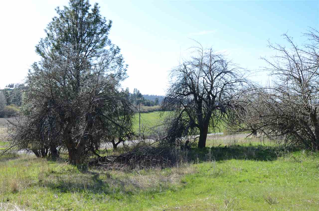 4400 South Henry Road Greenacres, WA 99016 - Photo 9 of 16 Gallery Image 9