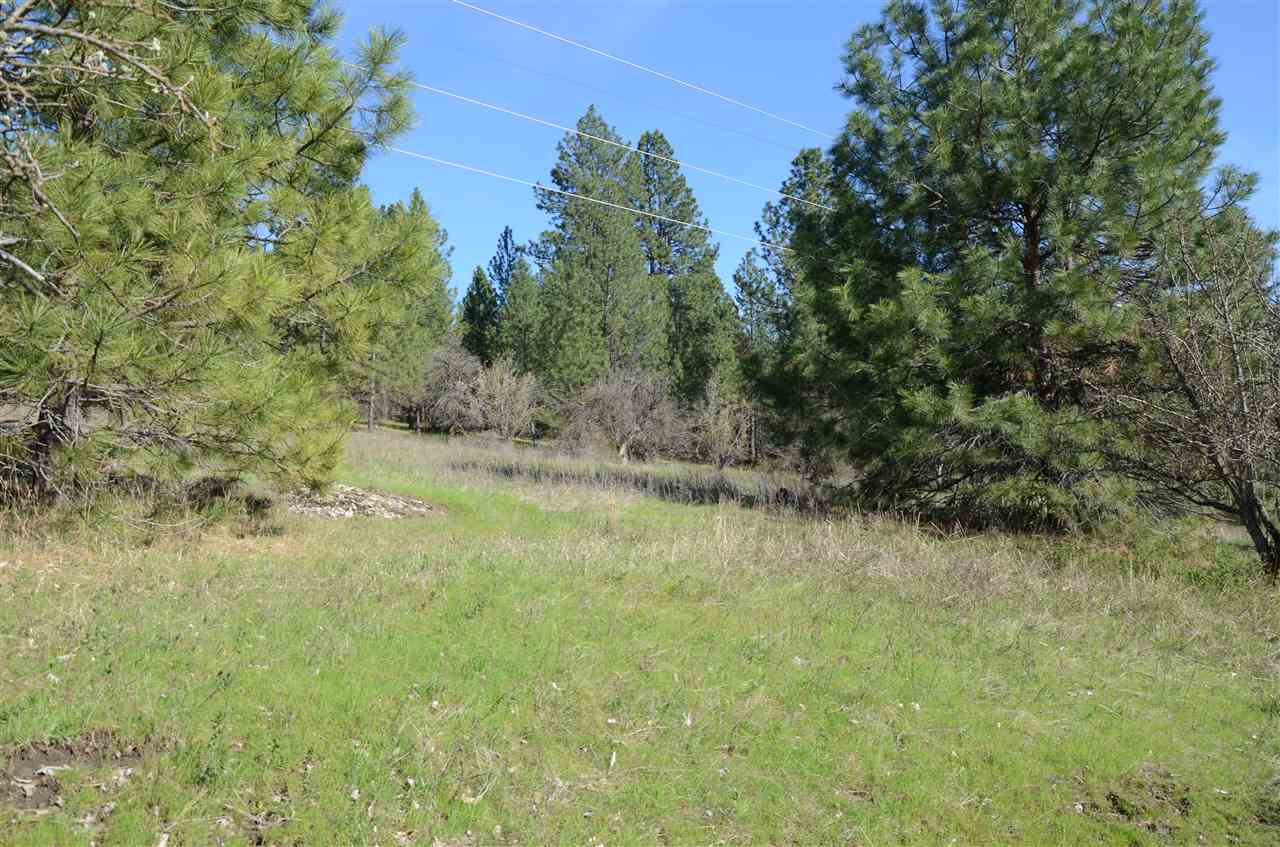 4400 South Henry Road Greenacres, WA 99016 - Photo 10 of 16 Gallery Image 10